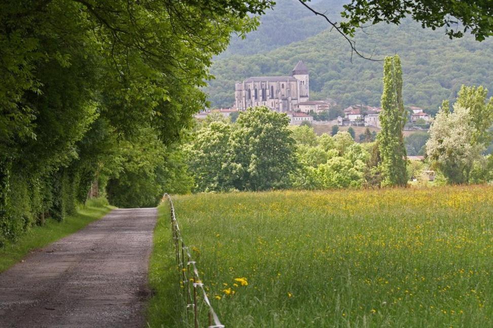Chateau De Vidaussan Labroquere Exterior foto